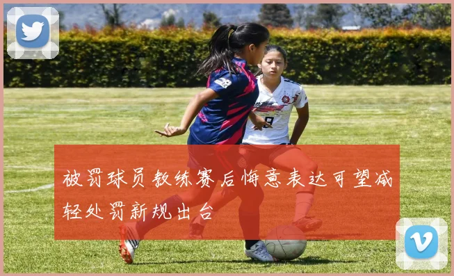 被罚球员教练赛后悔意表达可望减轻处罚新规出台