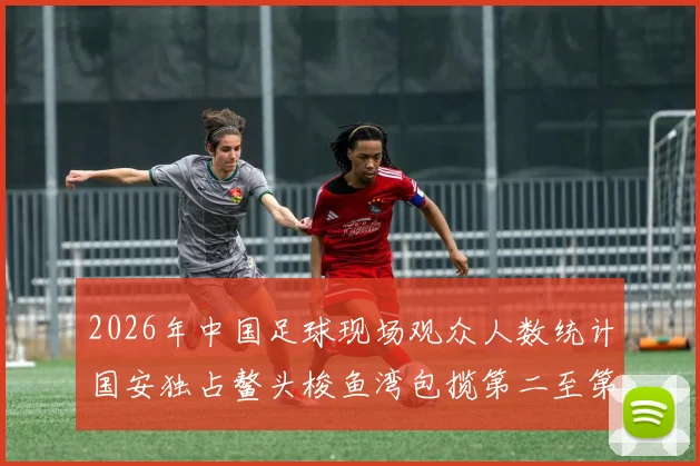 2026年中国足球现场观众人数统计国安独占鳌头梭鱼湾包揽第二至第七位
